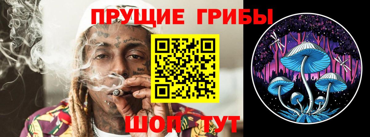 Псилоцибиновые грибы Psilocybine cubensis  Вход с VPN  Тавда  Галлюциногенные грибы GOLDEN TEACHER 