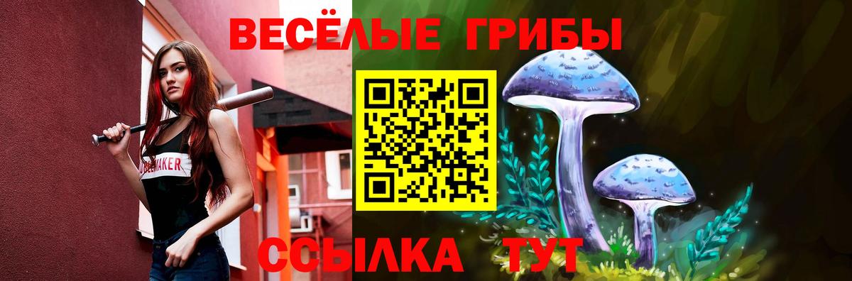 Галлюциногенные грибы прущие грибы Тавда